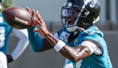 Jaguars exec says '100 [snaps] is a lot'