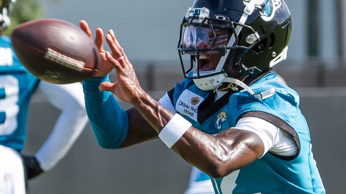 Jaguars exec says '100 [snaps] is a lot'