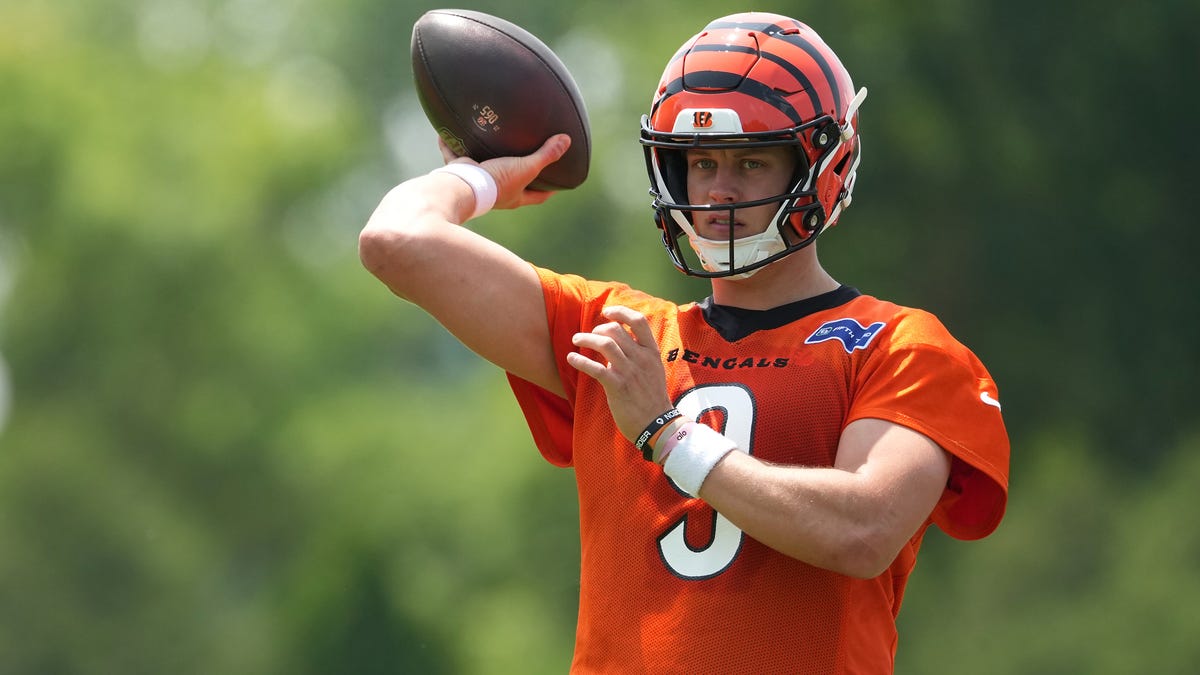 Why Joe Burrow canceled Batmobile purchase after burglary