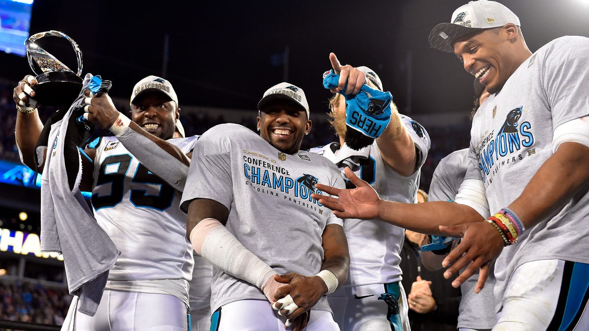 2015 Panthers ranked as one of NFL's top 25 teams since 2000