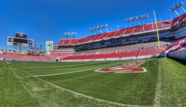 NFC South winner 2025 outright odds, preview and predictions.