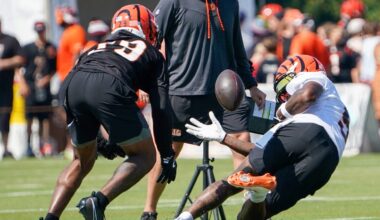 Cincinnati Bengals training camp: Highlights from Day 2