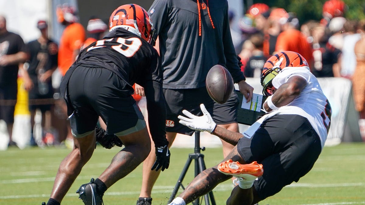 Cincinnati Bengals training camp: Highlights from Day 2