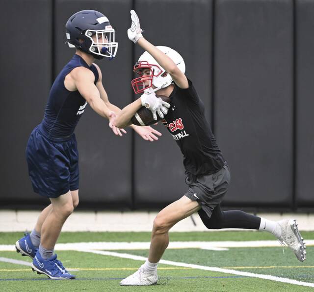 8668756_web1_vnd-FC03-071025