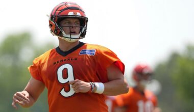 INSERT STORY HEADLINE HERE