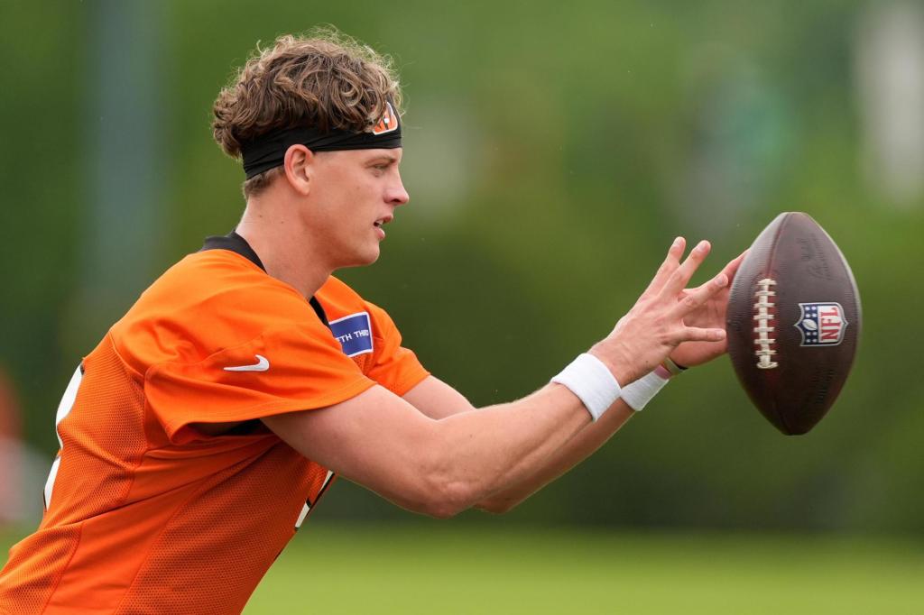 NYC pawn shop owner pleads guilty to his role in burglary of NFL star Joe Burrow’s home and others