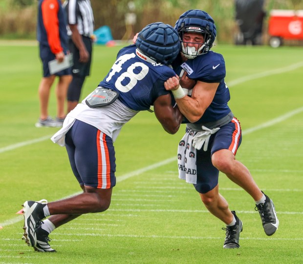 Chicago Bears tight ends Colston Loveland (84) and Jordan Murray (48)  battle through blocking drills during training camp at Halas Hall on July 29, 2025, in Lake Forest. Looking on during this drill was head coach Ben Johnson (not pictured).  (Stacey Wescott/Chicago Tribune)