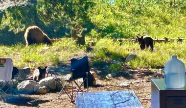 Why national parks are our country's treasures