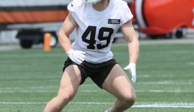 The Browns lost their top linebacker, but Pro Football Focus ranks the unit in top half of NFL