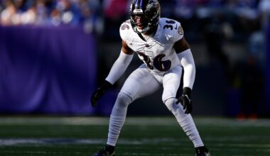 Pittsburgh Steelers sign hard-hitting former Ravens safety