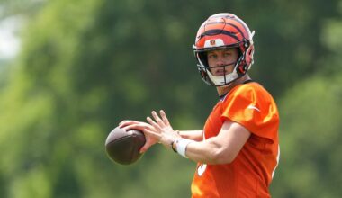 Bengals' Joe Burrow harassed by Browns fan, QB's security steps in. Watch