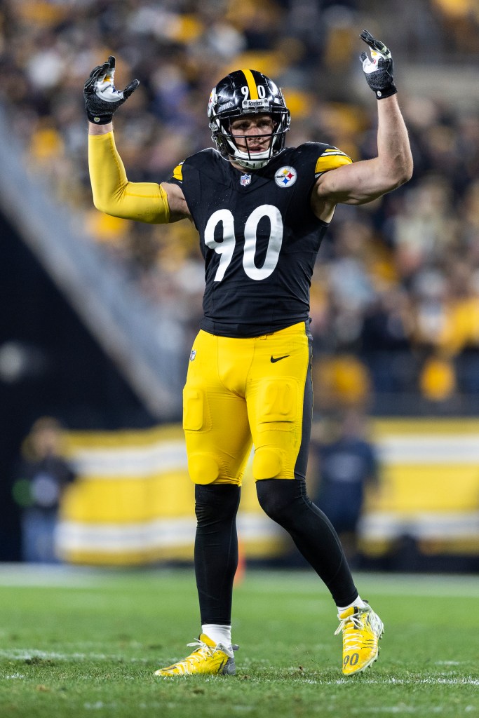 TJ Watt reacts during a Steelers game in November 2024.