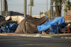 2025 Greater Los Angeles Homeless Count Local Raw Data