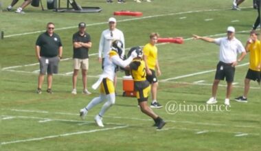 Steelers training camp fight