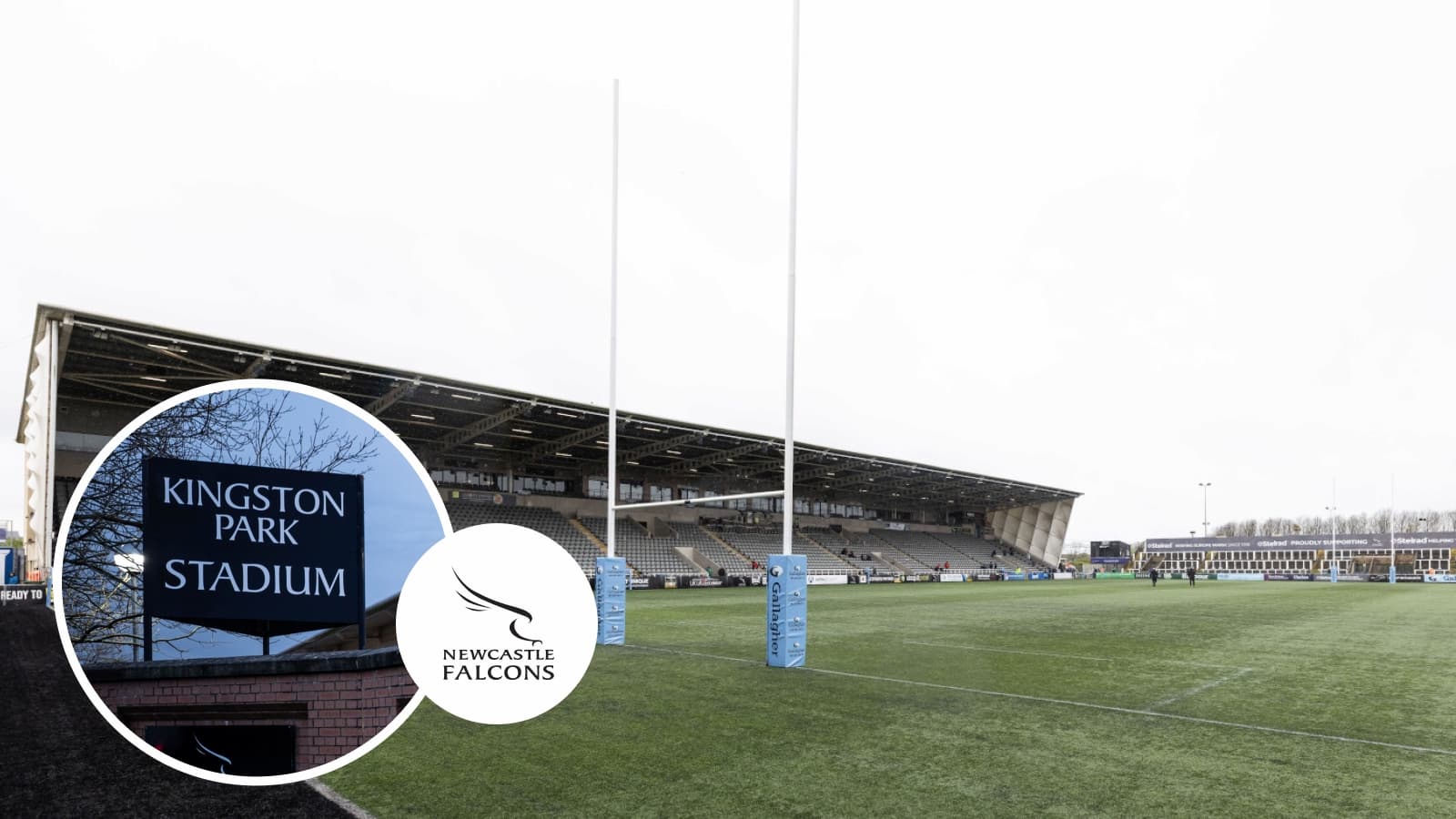 Red Bull promise a 'prosperous era' for Newcastle Falcons