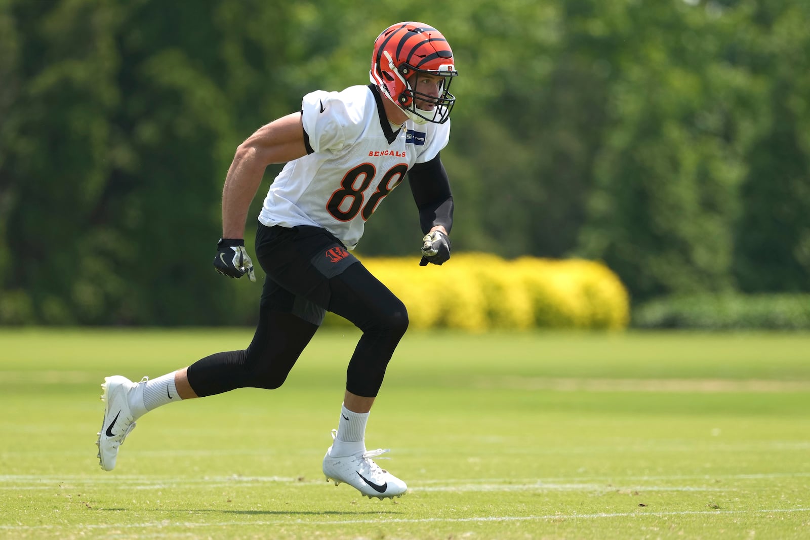 Cincinnati Bengals tight end Mike Gesicki (88) runs a route during NFL football practice Tuesday, June 3, 2025, in Cincinnati. (AP Photo/Kareem Elgazzar)