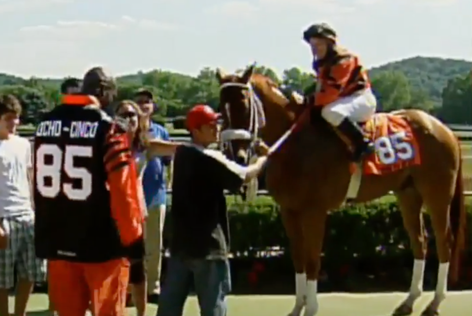 No. 85 for the Bengals sized up his foe before the race