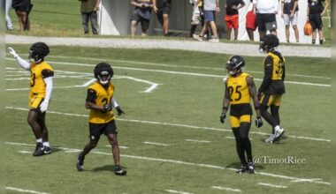 DeShon Elliott Minkah Fitzpatrick Beanie Bishop Jr. Damontae Kazee defensive backs secondary Steelers training camp Baldinger