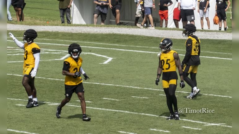 DeShon Elliott Minkah Fitzpatrick Beanie Bishop Jr. Damontae Kazee defensive backs secondary Steelers training camp Baldinger
