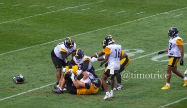 Steelers camp fight