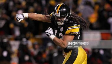 Troy Polamalu