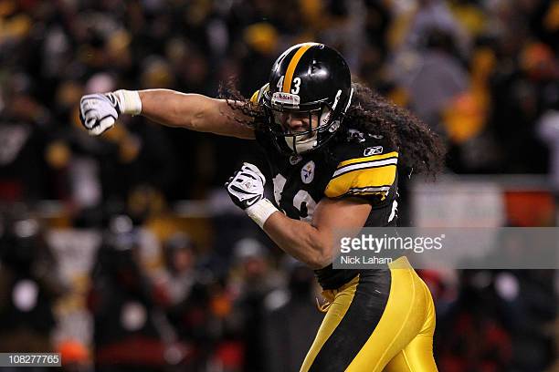 Troy Polamalu