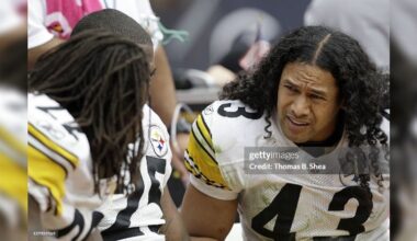 Troy Polamalu