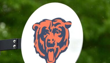 Chicago Bears fan survey gauge interest in new stadium amenities and prices