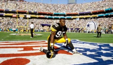 Greg Lloyd (95) of the Pittsburgh Steelers (credit: USATSI)