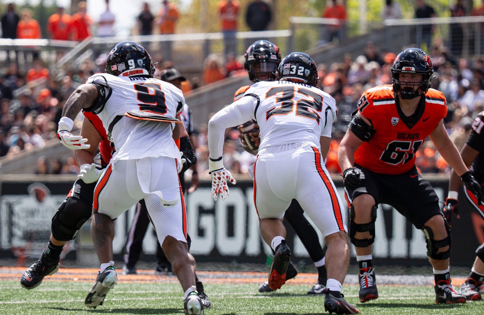 NCAA Football: Oregon State at Boise State