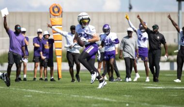 Fresh and Familiar Faces on Vikings Defense Make Plays
