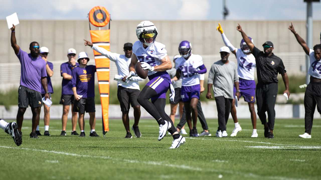 Fresh and Familiar Faces on Vikings Defense Make Plays