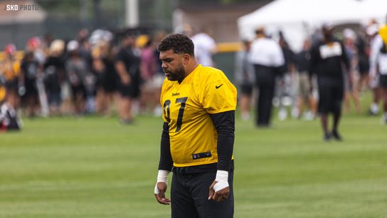 Steelers Cam Heyward Steelers Cam Heyward