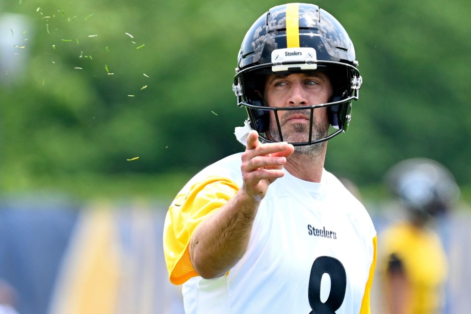 Aaron Rodgers, Pittsburgh Steelers quarterback, throws grass to test the wind.