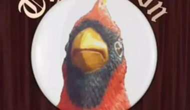 2024-25 LCPT Semifinals: ACC Football Officiating vs. Cory Alexander