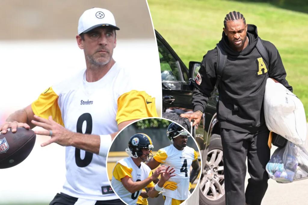 Aaron Rodgers has a rather odd toilet rule during Steelers training camp