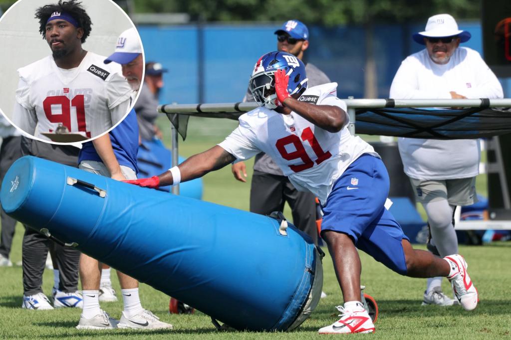 Giants have big plans for Darius Alexander, the other rookie on defense