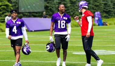 Fans Share Outlooks for 2025 Vikings