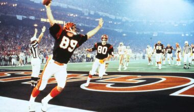 Bengals 1981 Season In Review