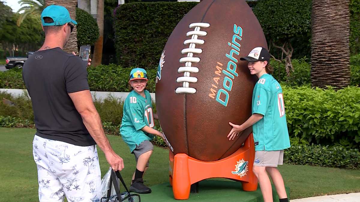 Fans flock to Dolphins training camp