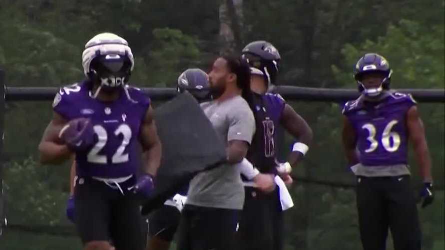﻿Fans who wish to see the Ravens training camp have to register online for free passes on Wednesday