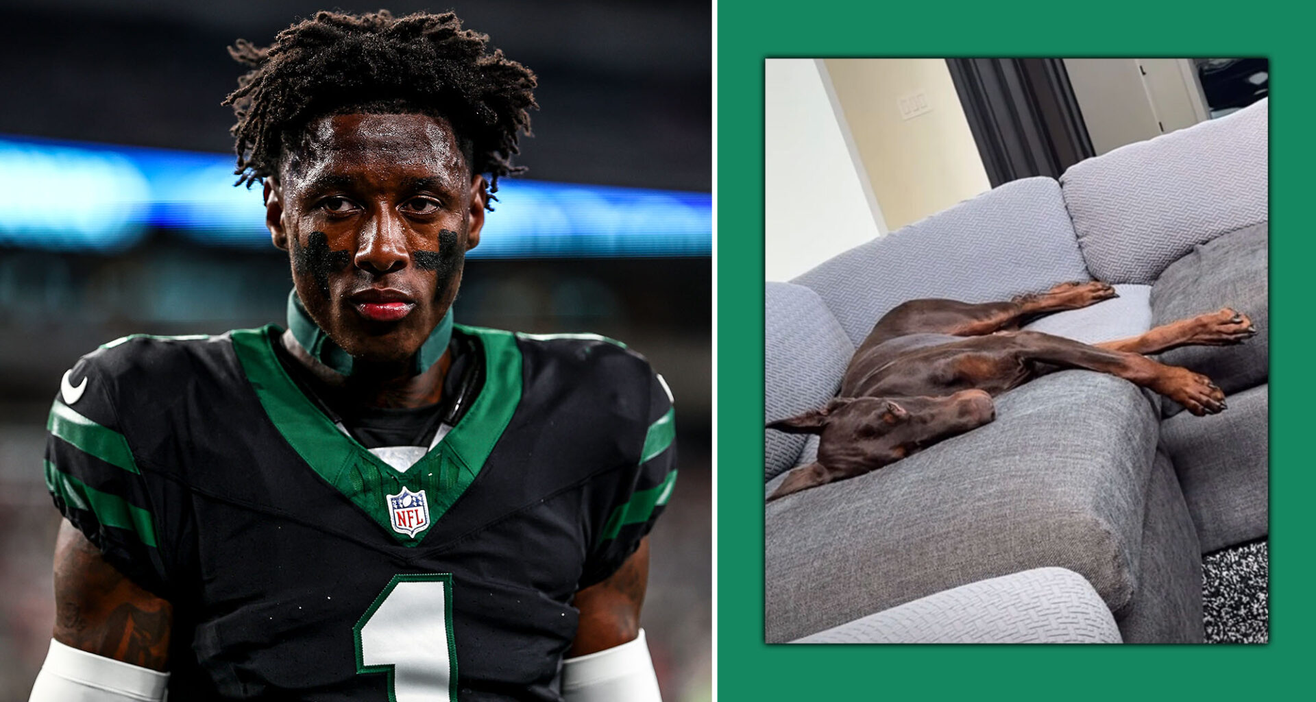 NY Jets CB Sauce Gardner's dog: A habitual line-stepper (Video)