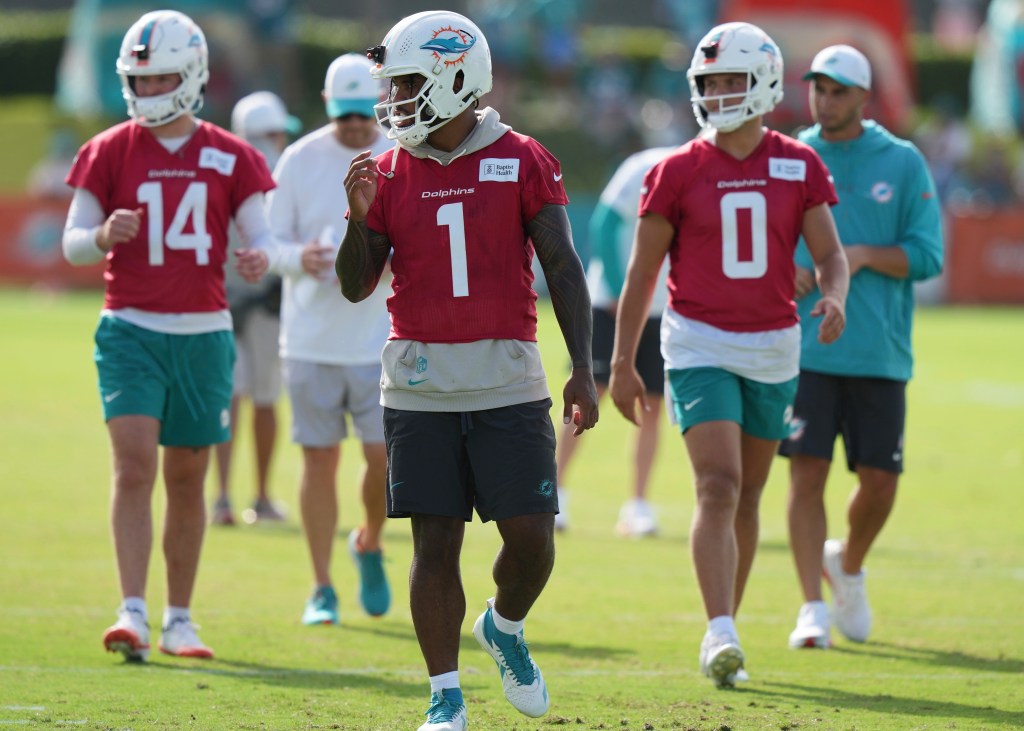 Dolphins have clear No. 2 quarterback