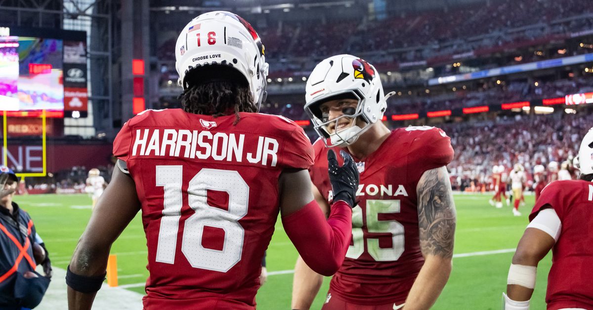Arizona Cardinals fans see a breakout season coming for one young player