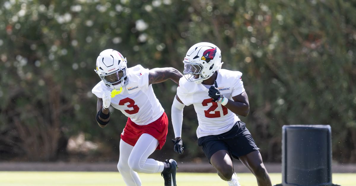 Arizona Cardinals secondary ranked near the bottom of the league heading into 2025