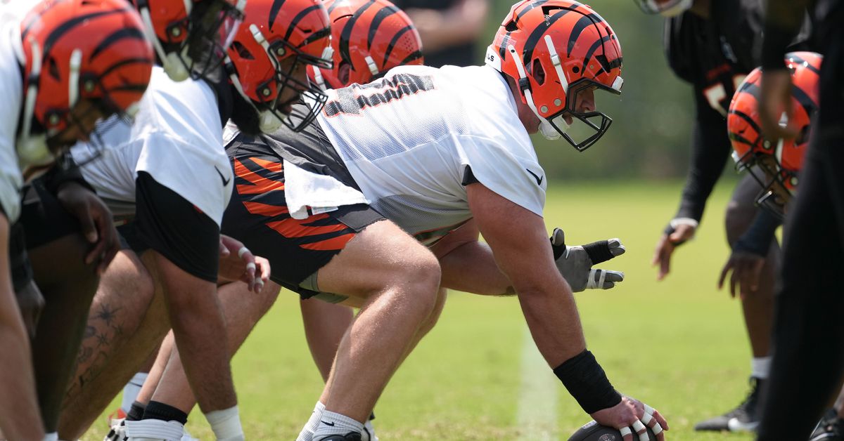 Bengals adding another free agent OL remains unlikely