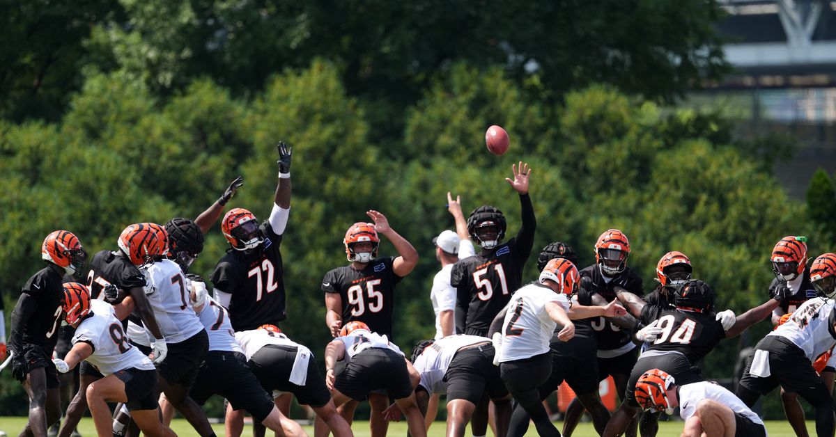 Bengals 2025 Training Camp Week 1 Updates & Listener Questions Live