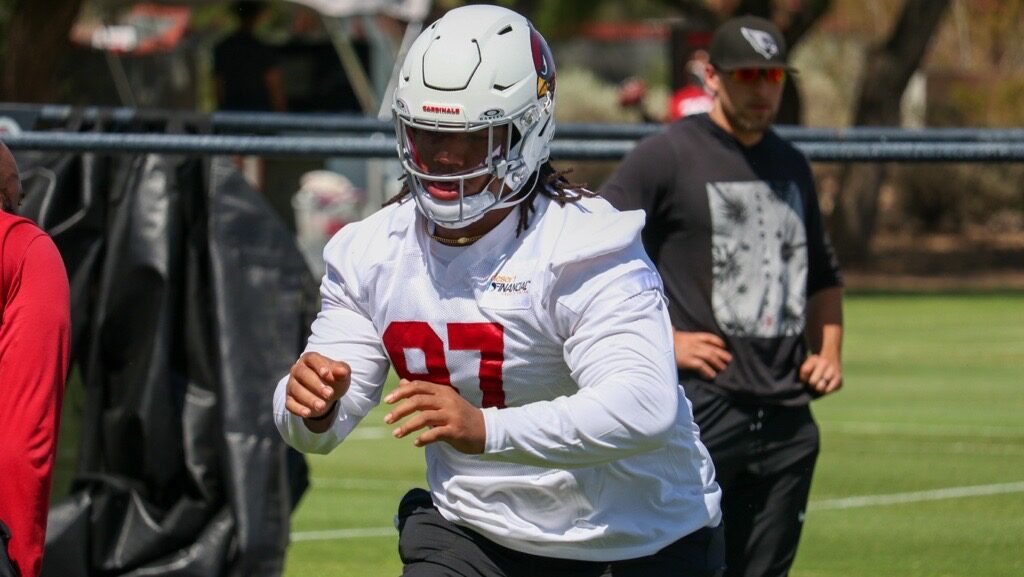 Walter Nolen III is expected to miss some time with a calf injury suffered during the offseason....