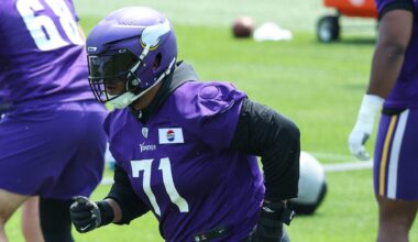 Injured MN Vikings Stars on the Mend