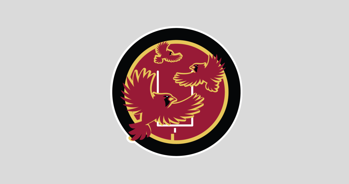 404 Not Found | Revenge of the Birds